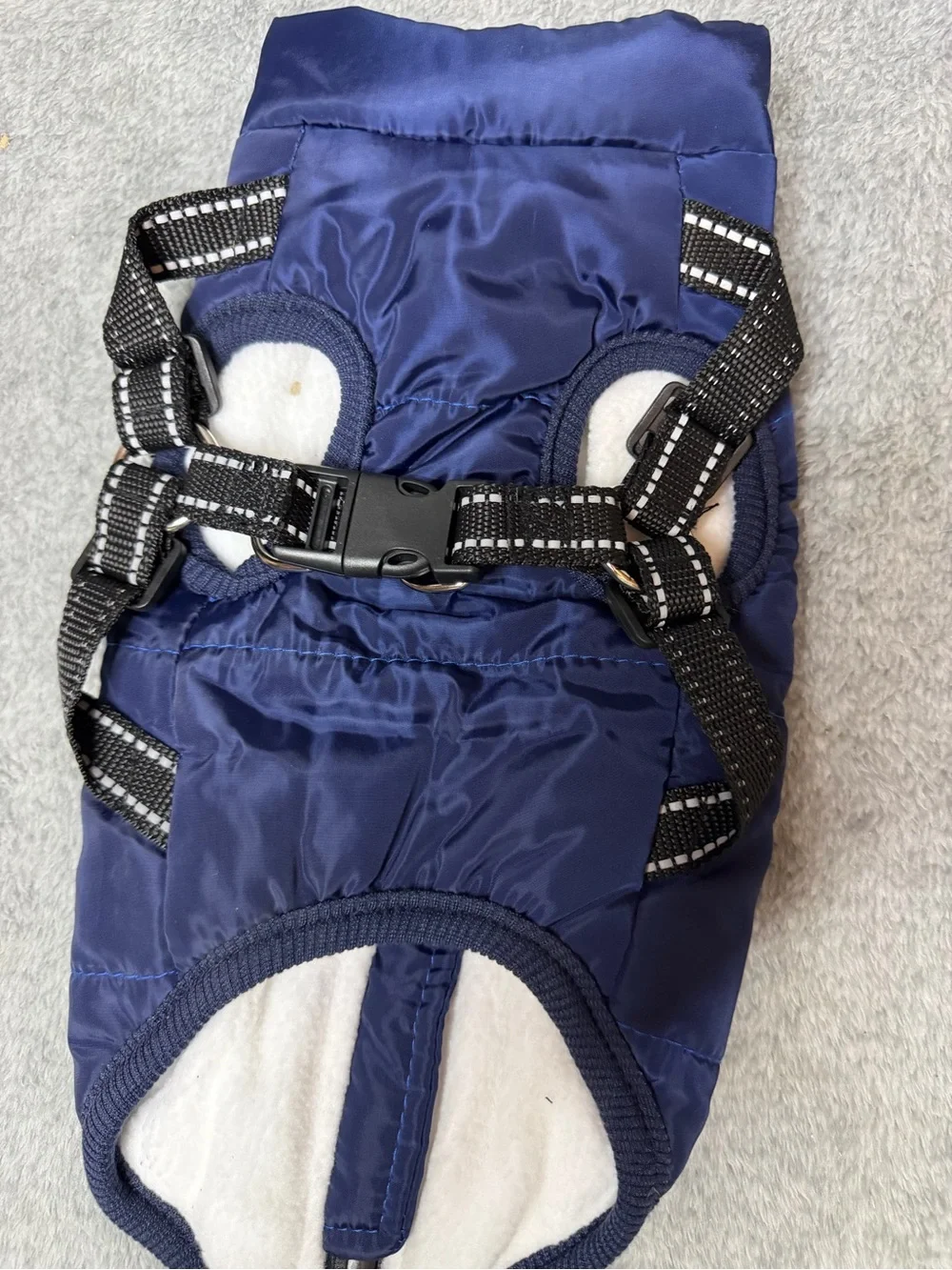 Fashion Sports Blue Vest / Dog Cost Multiple Sizes